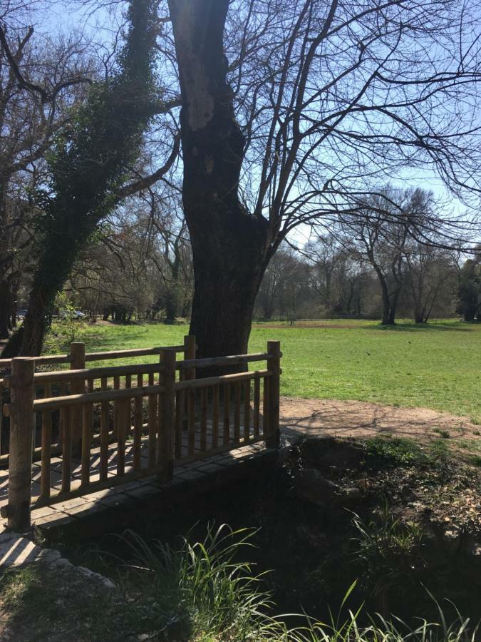 Royal Park Leilighet Villeneuve-Loubet Eksteriør bilde